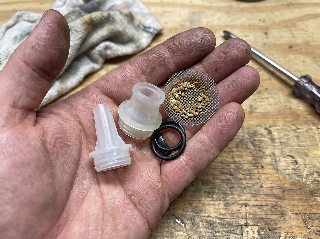 disassembled water softener injector nozzle and screen with mineral sediment